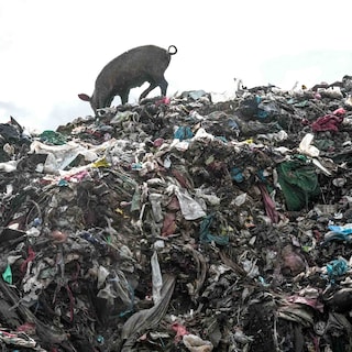 Advies: onderzoek reclameverbod voor ultrafast fashion