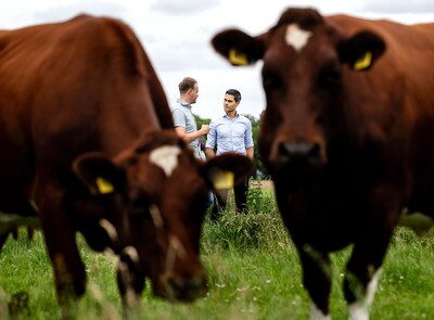 Stikstofplannen uitgelekt: minder koeien en strengere maatregelen rond natuurgebieden