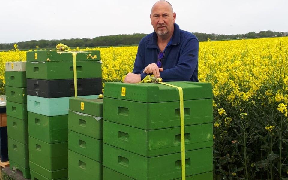 Imker Albert (64) uit Nieuw-Amsterdam beheert 150 bijenvolken. ‘Bijen zijn echt heel belangrijk’
