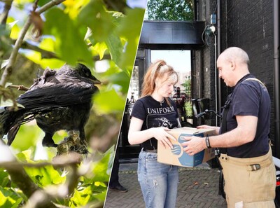 Viènna (29) voorkomt tragische dood van vastzittende vogel: ‘Hoop dat-ie nog lang aan ons denkt’
