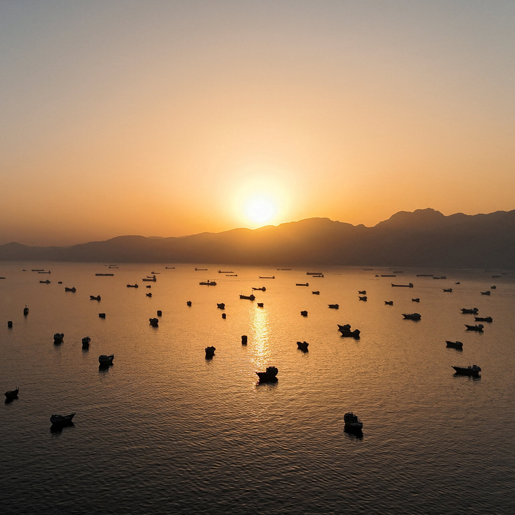 Risk Strait of Hormuz or Wait? Shipping Companies Face a Costly Dilemma.