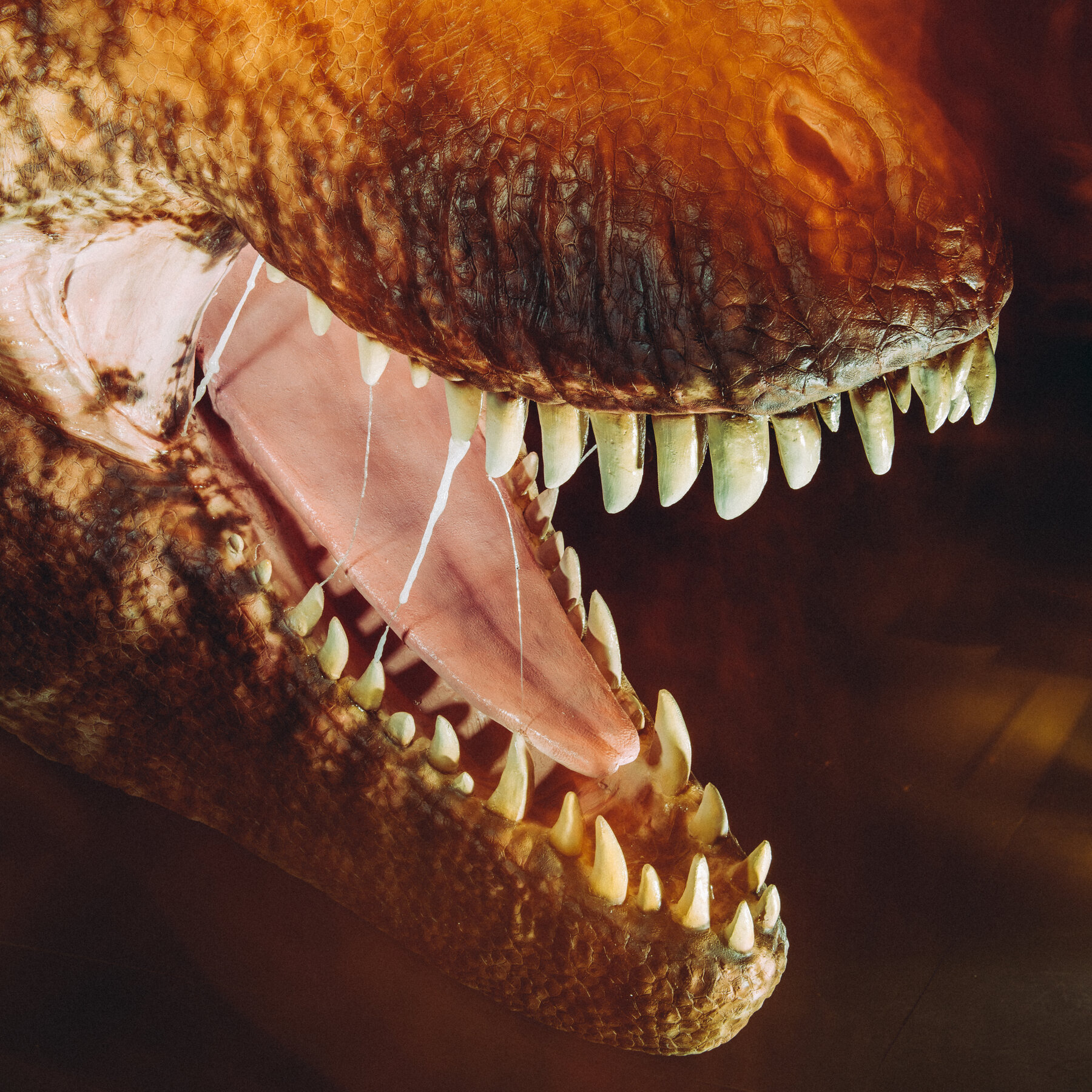 Opinion | It’s Godzilla vs. T. Rex Out There All Over America