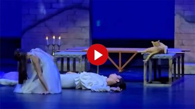 KIJK | Voorstelling Romeo en Julia is toe aan tragische slotscène, dan loopt er plots een kat het podium op