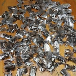 Man met 150 levende schorpioenen in bagage betrapt op luchthaven van Kaapstad