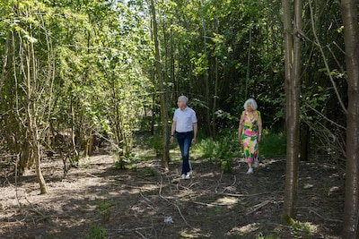 Ineens klinken er kettingzagen achter hun huis: ‘Eerst planten ze een bos. Nu kappen ze het weer?’