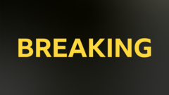 Wolves appoint Portuguese Peixoto as new boss