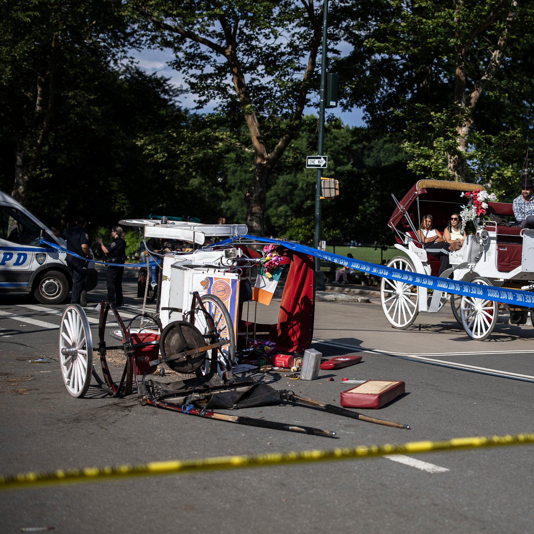 Horse Carriage Overturns in Central Park, Critically Injuring Man