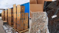 Three arrested after record-breaking £139m cannabis seizure