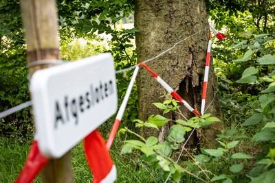 Populair wandelpad in Oldenzaal per direct dicht vanwege gevaarlijke bomen