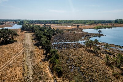 Landgoed De Utrecht moet beekdal Reusel afsluiten vanwege grootschalige boomsterfte