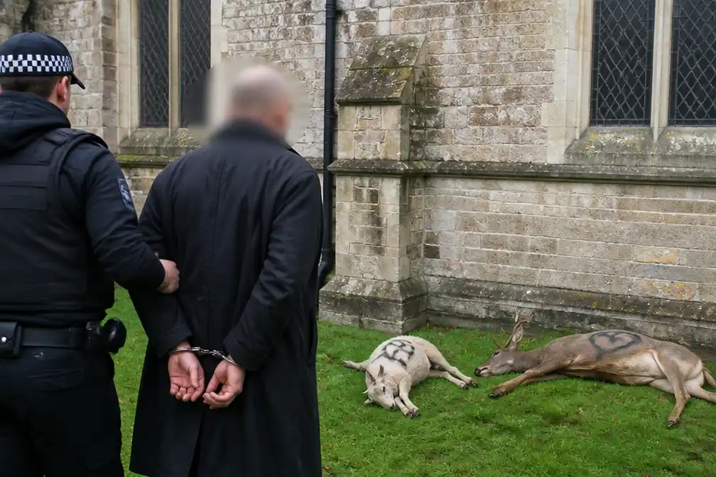 Britse vampierobsessief die dode dieren bij kerken dumpte opgenomen