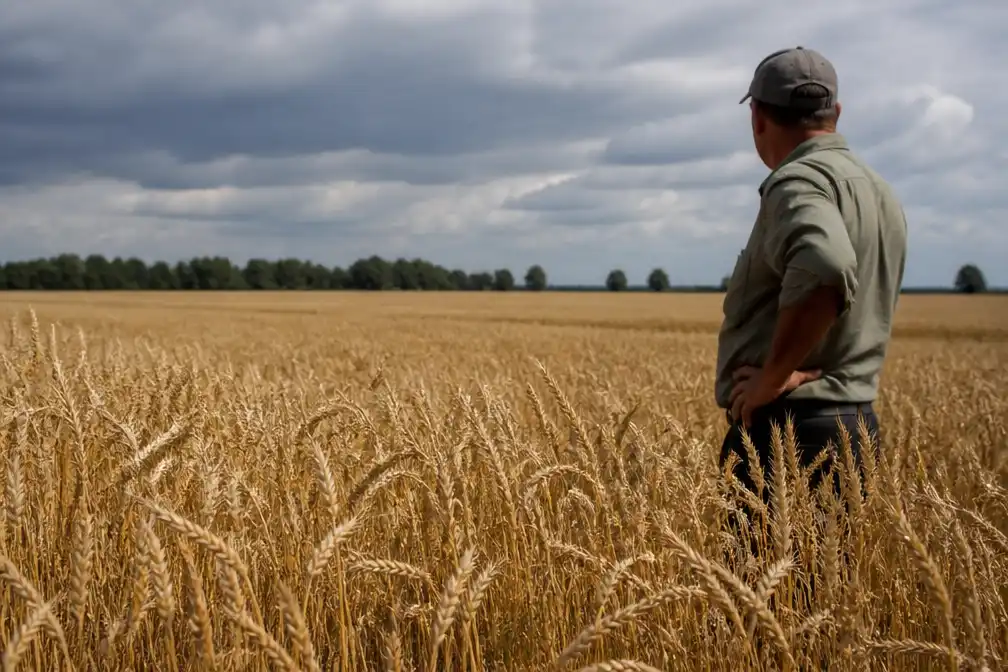 Voedselprijzen op hoogste niveau in drie jaar, meldt VN-FAO