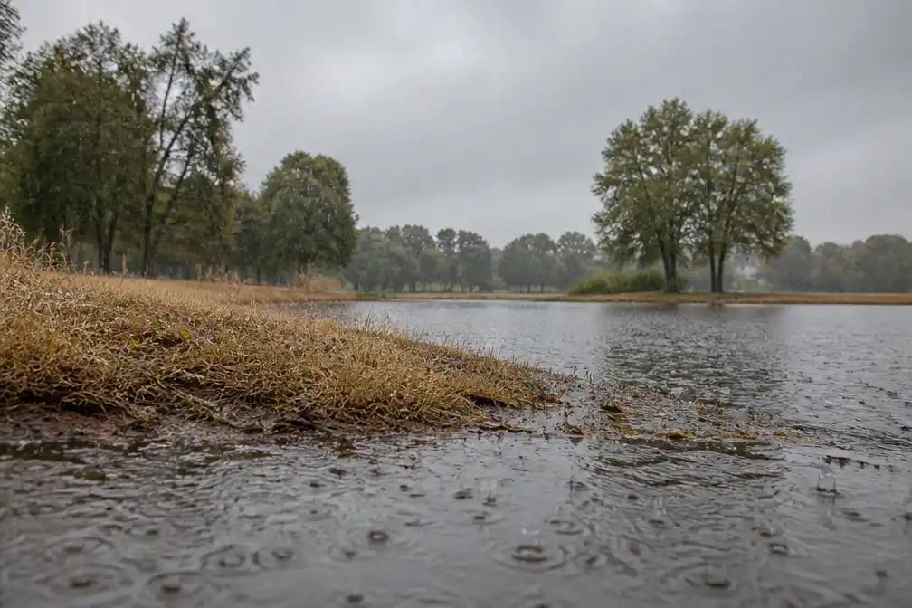Regen op komst na weken van extreme droogte in Nederland