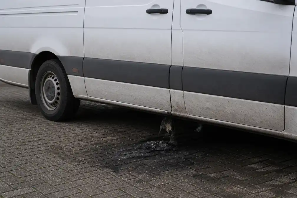 Camerabeelden tonen brandstichting bij busjes tuinwinkel Lelystad