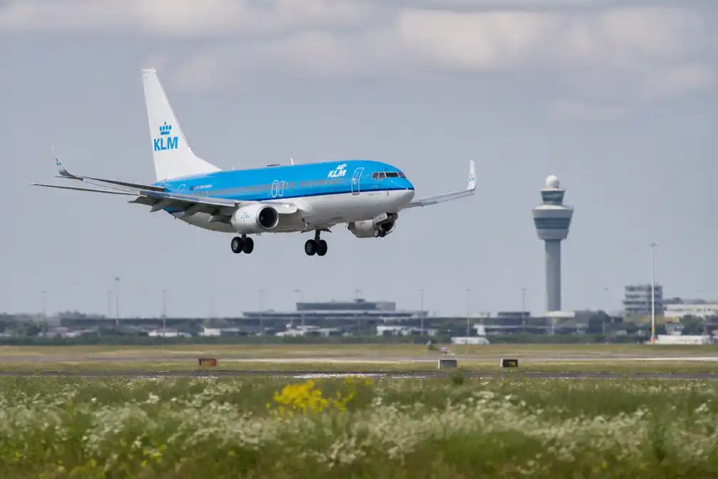KLM-vliegtuig breekt landing op Schiphol af na hond op Polderbaan