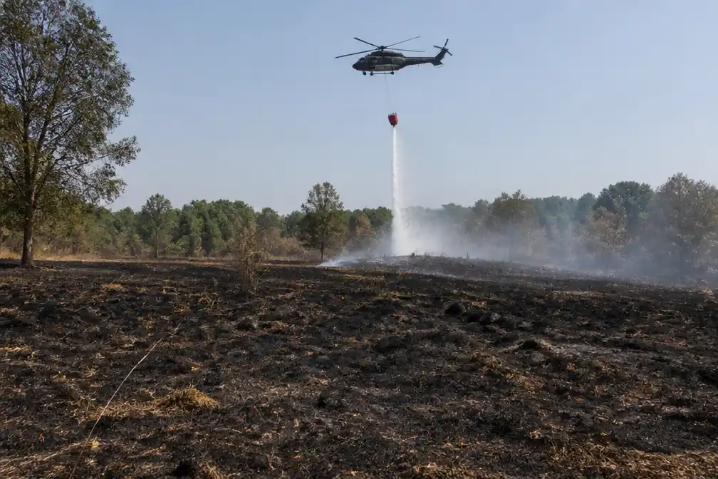 Natuurgebied Boschhuizerbergen bij Venray blijft na brand gesloten