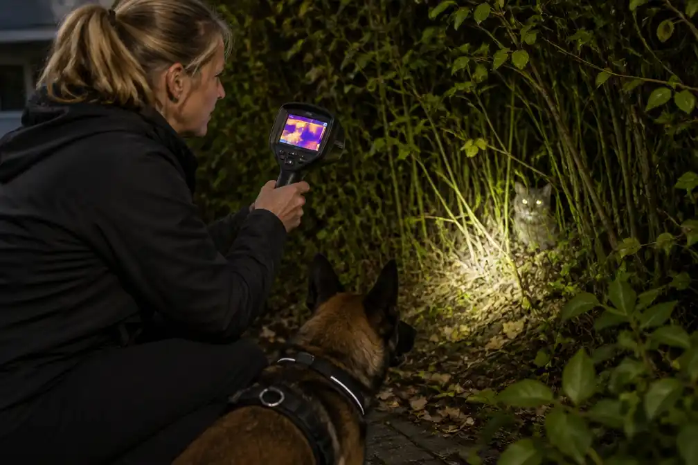 Zoekteam met honden helpt bij vinden van vermiste katten