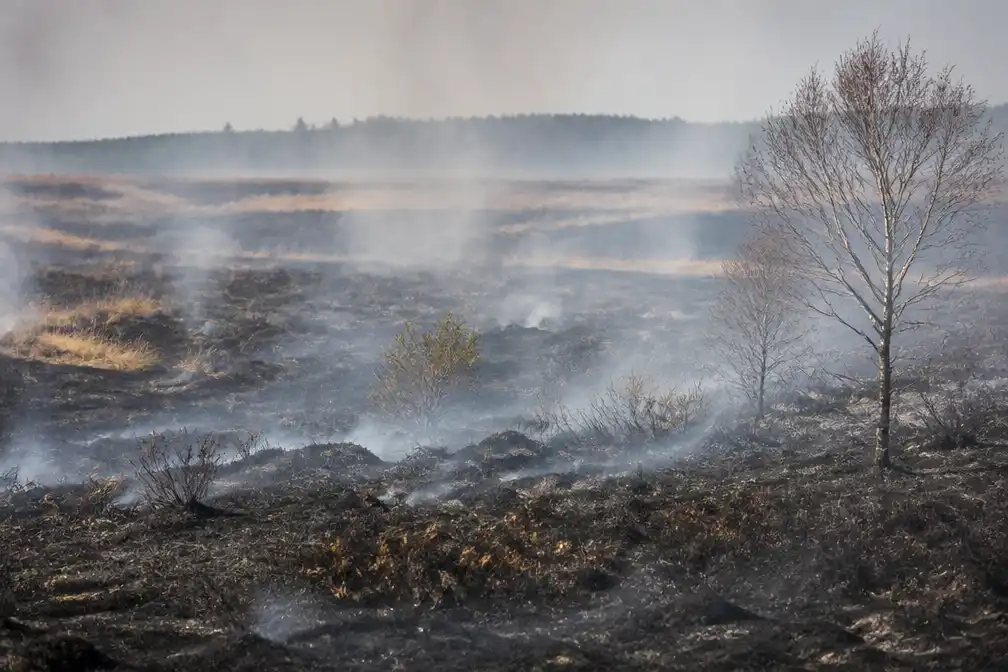 Heropflakkering brand Hoge Venen vernielt 6 hectare; totaal staat op 3.000 hectare