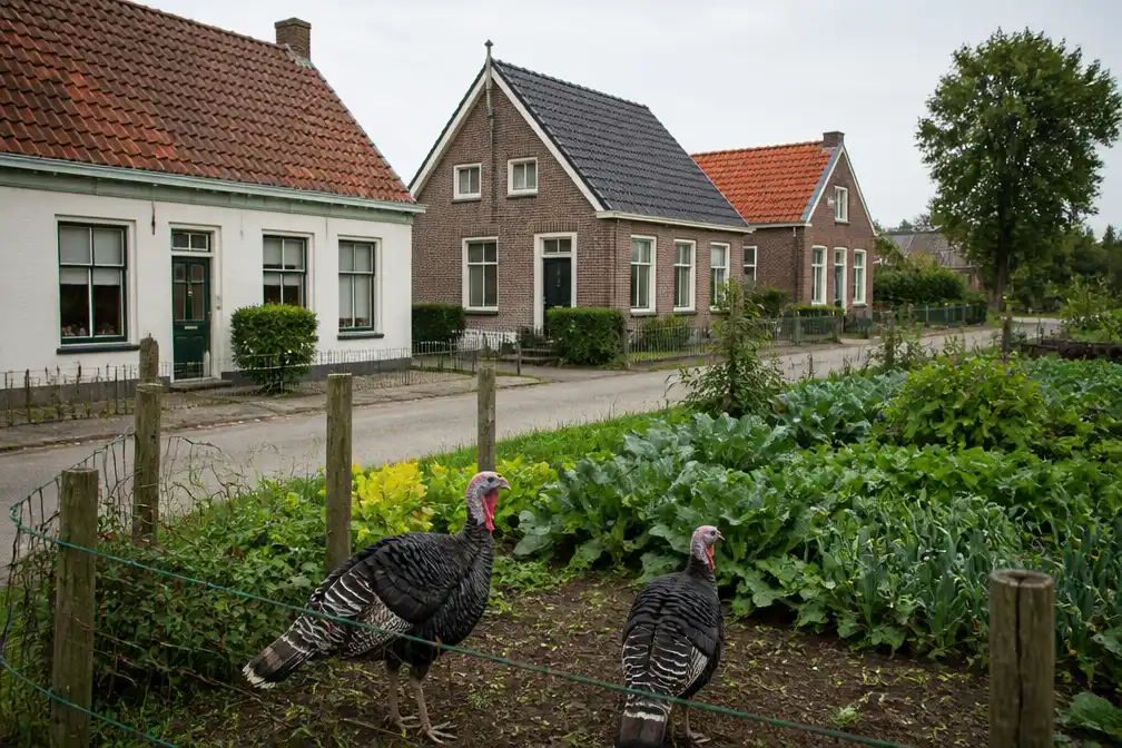 Drie buren in Wilhelminadorp vieren verjaardag op exact dezelfde dag: 30 augustus