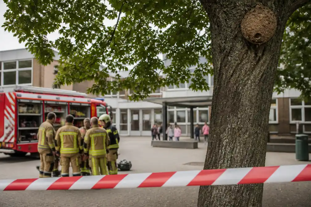 Basisschool Linkeroever sluit deel speelplaats door Aziatische hoornaars
