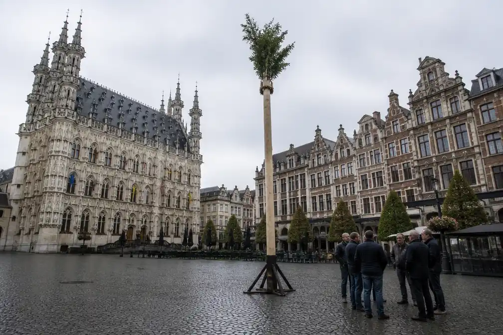 Meyboom in Leuven omvergereden door vuilniswagen, chauffeur vlucht