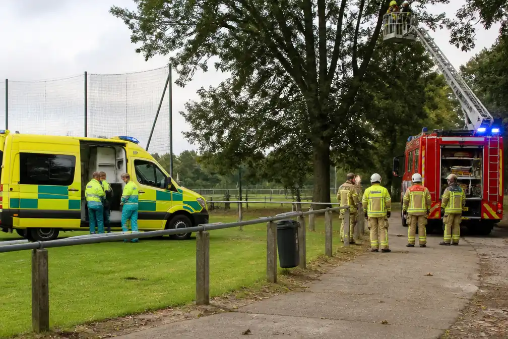 Acht kinderen en leerkracht gestoken door hoornaars bij scholenveldloop in Munkzwalm