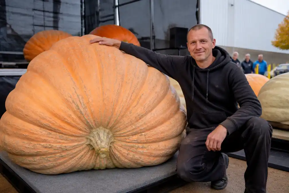 Iwan Horde uit Leerdam opnieuw Nederlands kampioen pompoenkweken met 721 kilo