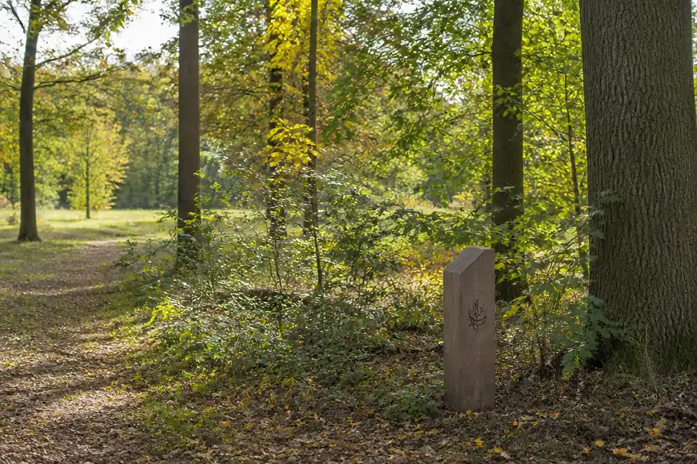 Vosselaar opent in voorjaar 2027 natuurbegraafplaats in domein Het Hof