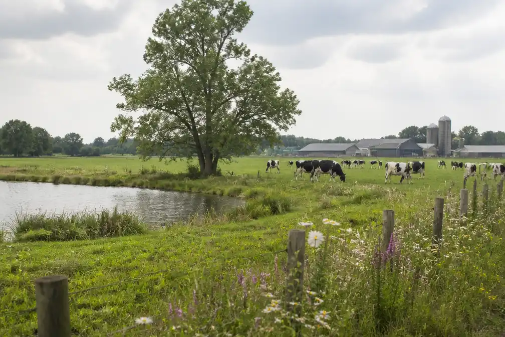Meeste geld stikstofaanpak naar zone-aanpak en natuurherstel