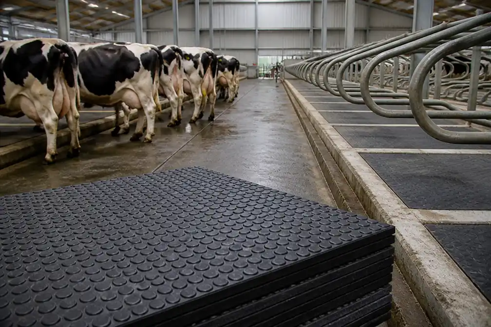Agriprom in Nieuwleusen failliet, curator onderzoekt mogelijke doorstart