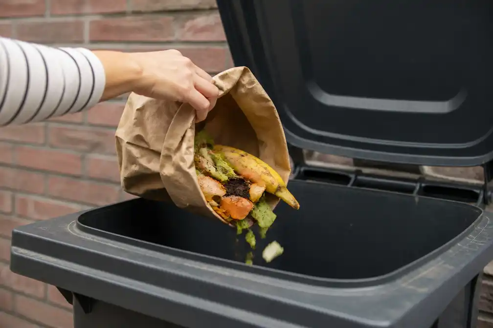 Biologisch afbreekbare zakken niet afdoende; tips om maden te voorkomen