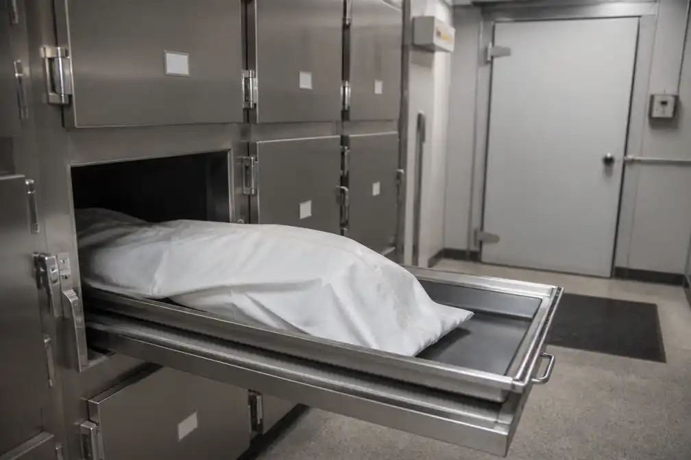 Lichaam Michel Meynard na 14 jaar gevonden in koelcel Frans mortuarium