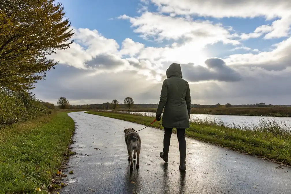 Koud en wisselvallig herfstweekend met zon en geregelde buien