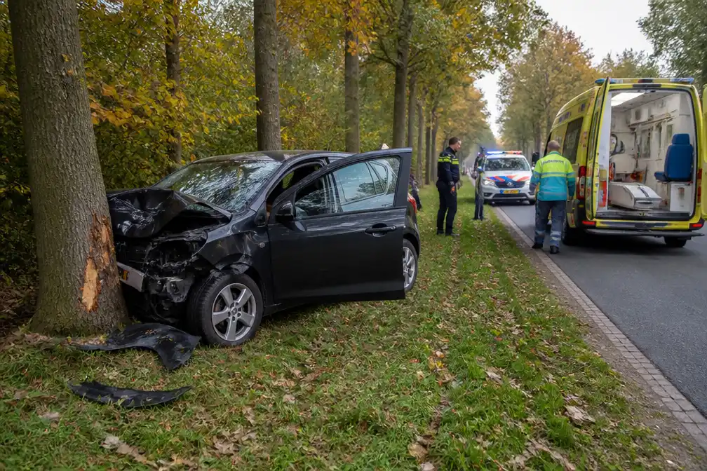 Wagen rijdt tegen boom aan Watersportbaan, bestuurder naar ziekenhuis voor check-up