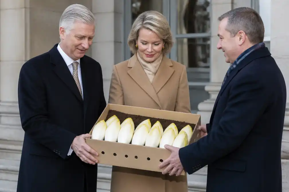 Kampenhout schenkt koning Filip en koningin Mathilde voortaan elk jaar witloof