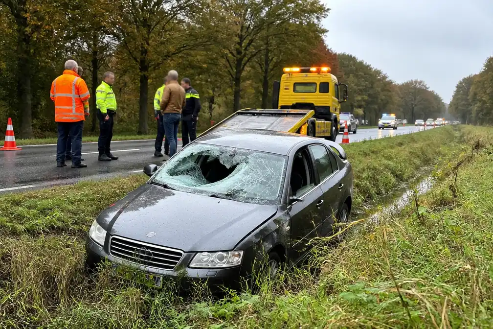 Twee gewonden na botsing met paard op N347 bij Hellendoorn; paard dood
