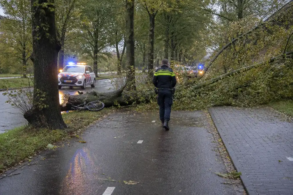 Fietser overlijdt nadat boom op hem valt op Sloterweg in Nieuw-West