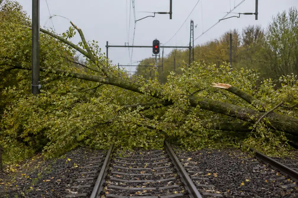 Boom op het spoor legt treinverkeer Haarlem-Zandvoort stil, ook hinder naar Amsterdam