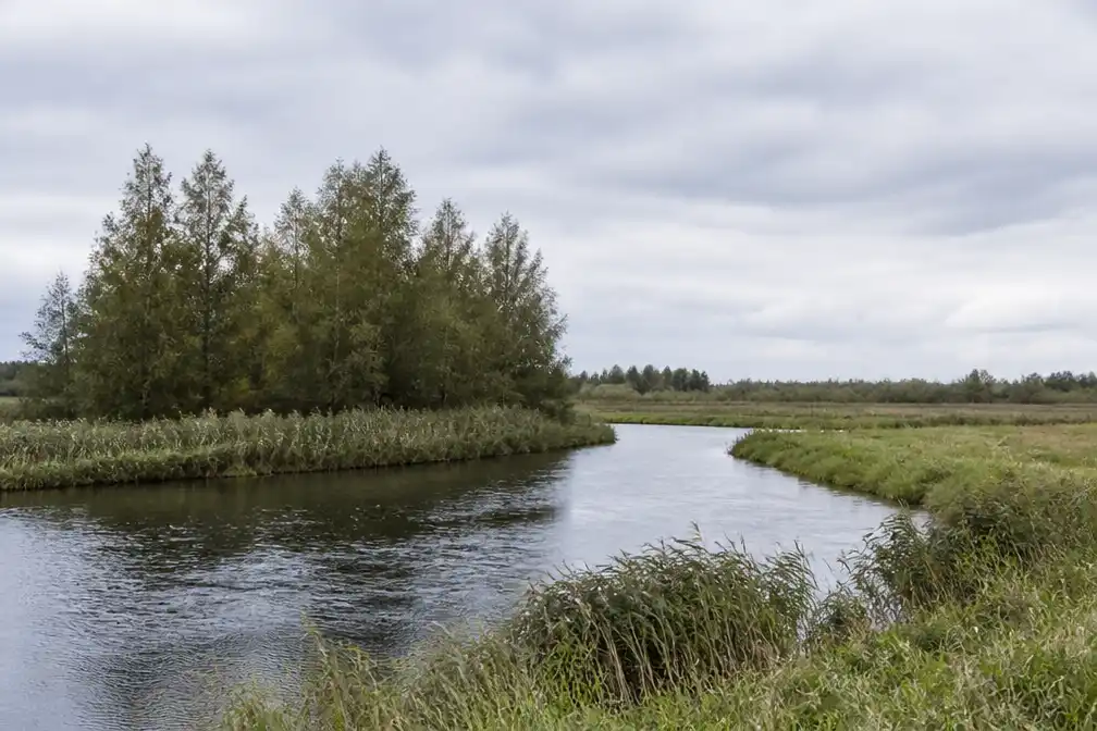 Natuurpunt koopt Rode Geul en 22 hectare natuur in Assenede