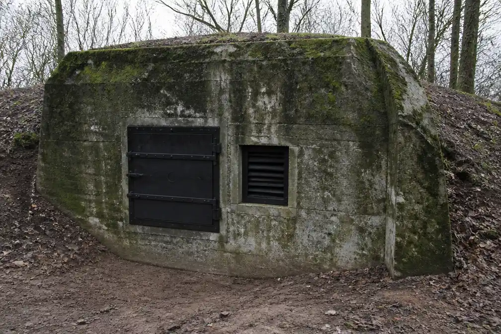 Acht oorlogsbunkers in Sint-Katelijne-Waver en Bonheiden worden winterverblijf voor vleermuizen