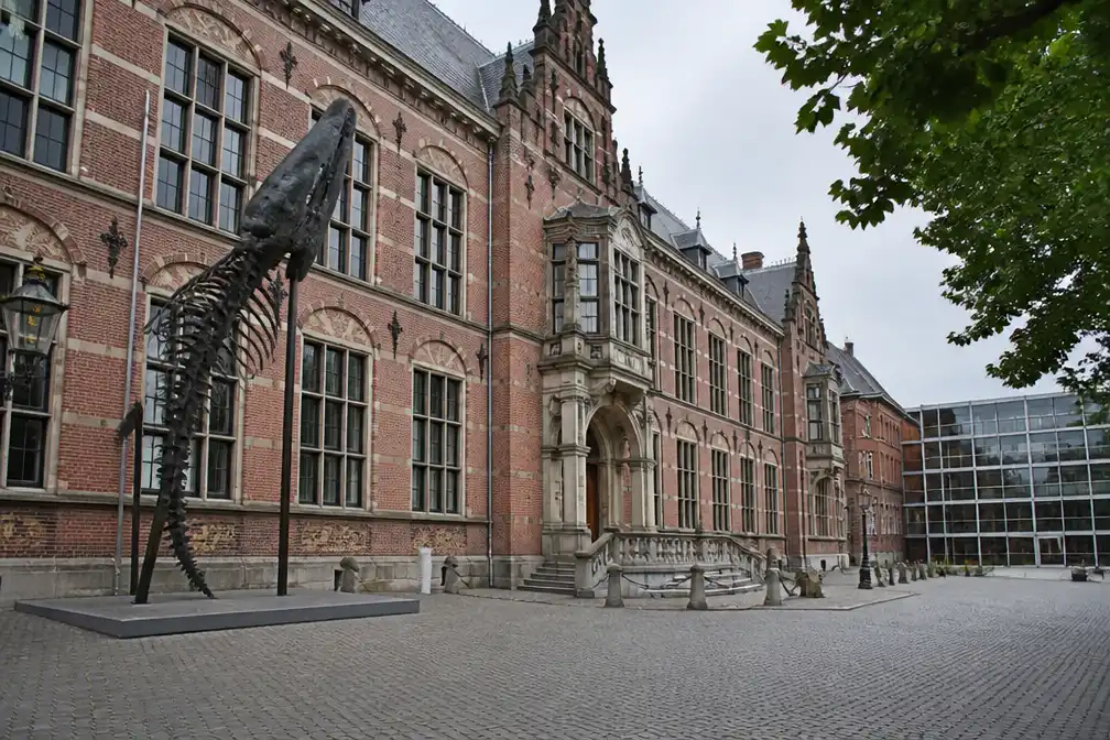 Open brief tegen sluiting Universiteitsmuseum Groningen krijgt steun uit hele wereld