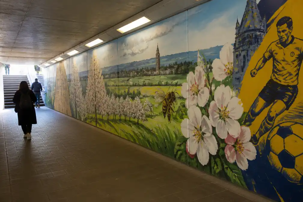 NMBS laat onderdoorgang station Sint-Truiden beschilderen met Haspengouwse muurschildering