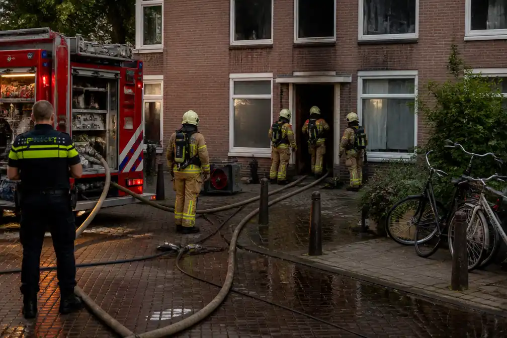Vijf honden omgekomen bij brand in woning Den Haag; bewoners gecontroleerd