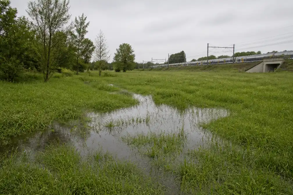 Vlaamse regering beschermt watergevoelig gebied in Rotselaar en Leuven tegen bebouwing