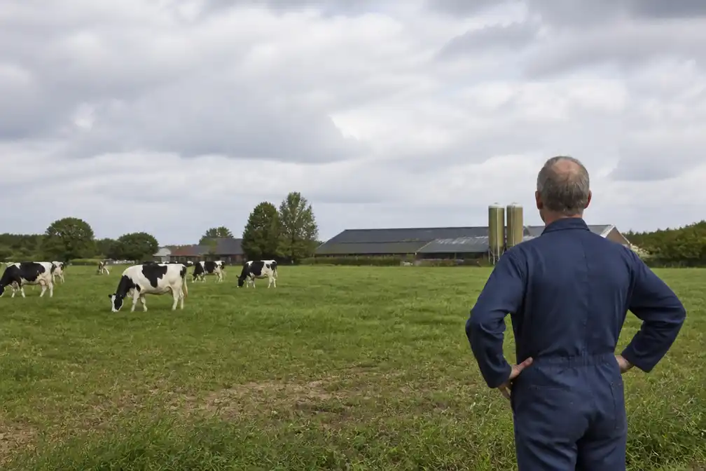 Ruim 750 boeren in Noord-Brabant liggen in nieuwe stikstofzones