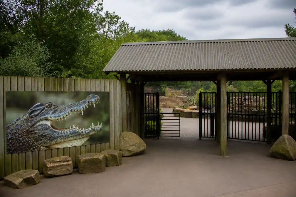 Eigenaar van dierentuin noemt krokodillenaanval op jongen (3) 'meest schrijnende incident'