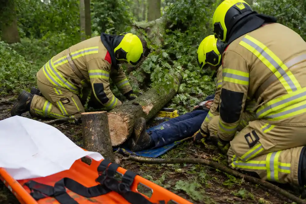 Man gewond na val van boom op voet op kasteeldomein in Humbeek