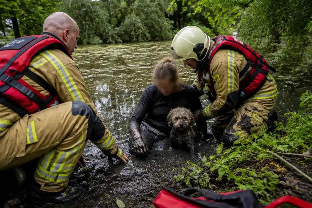Brandweer redt vrouw en hond uit modderige vijver in Ukkel