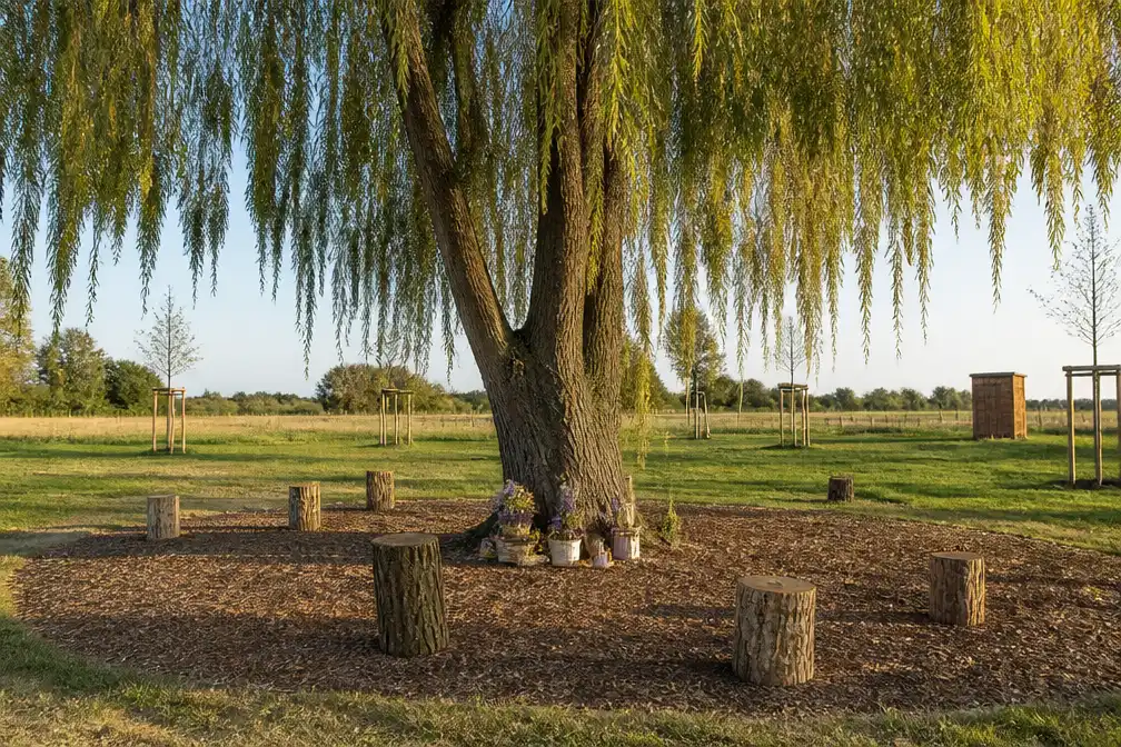 Festival Dranouter opent Gedenkboom voor overleden bezoekers, medewerkers en artiesten