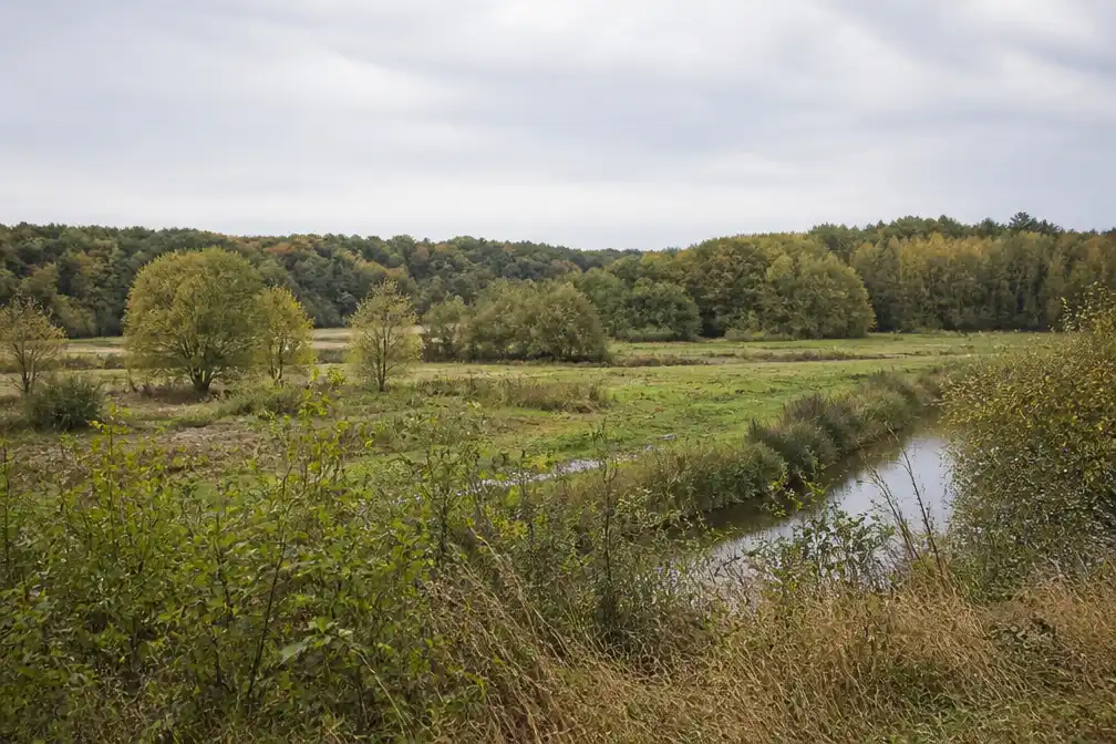 Goedgekeurd plan verbindt Wijerbos en Herkenrodebossen in Hasselt